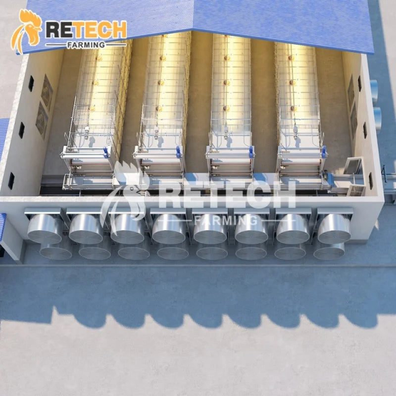 Fully Automatic H Type Chicken Broiler Cage Poultry Farming/Farm Equipment