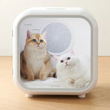 Smart Pet Drying Box Automatic Cat Hair Dryer Water Blower Puppy Bath Hair Blowing Machine Large Capacity Small Dogs Drying Room