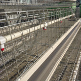 96/128 bird 3/4 layer battery layer chicken cage for laying hens 1000 chicken poultry farming capacity