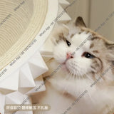 O B Durian Cat Litter Cat Scratching Board Grinding Claw Cat Rocking Chair Pet Products Nest Oversized Sisal Scratchers Furnitur