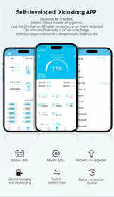 JBD Smart LiFePO4 BMS 7S 8S 24V 12S 13S 14S 36V 16S 48V 20S 21S With Built-in Bluetooth 40A 80A 100A Uart Function For E-bike