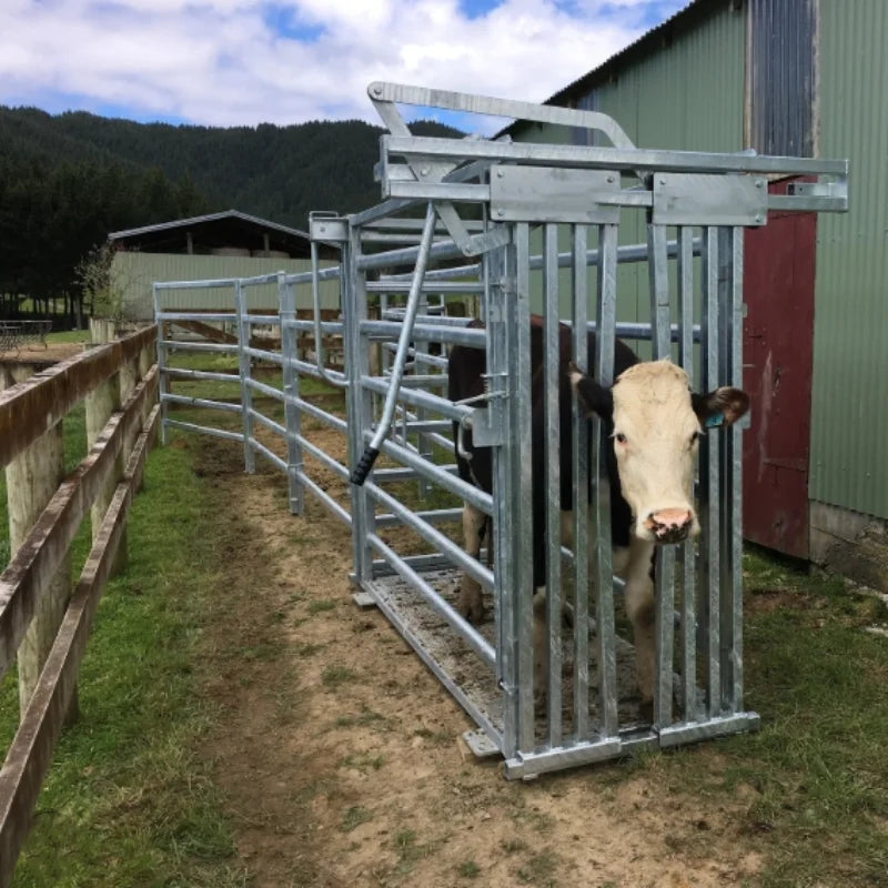 Hot-dipped Galvanized Cattle Corral Panel Cattle Squeeze Chute Cattle Crush