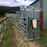 Hot-dipped Galvanized Cattle Corral Panel Cattle Squeeze Chute Cattle Crush
