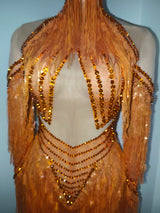 Sparkly Diamond Orange Tassel Long Sleeves Mesh Transparent Dress Women Latin Dance Outfits Bar Nightclub Party Club Stage Wear