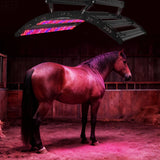 Remote Control 1.8 Meter Length Horse Equipment KingBrite Led Animal PDT Infrared Light Therapy Panel Red Light Therapy Bar