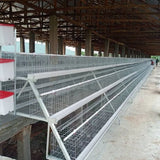 Hot selling 3/4 layer Type A 1000-10000 poultry equipment chicken coop chicken cage layer chicken farm