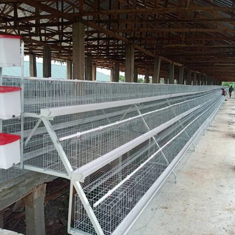 Hot selling 3/4 layer Type A 1000-10000 poultry equipment chicken coop chicken cage layer chicken farm