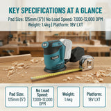 Makita DBO180Z 18V Cordless Random Orbital Sander for Woodworking And Putty Polishing Bare Tool for DIY And Professional Use