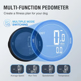 Heavy-Duty Indoor Dog Running Treadmill Best Professional Training Equipment for Large Dog Fitness Pet Supplies