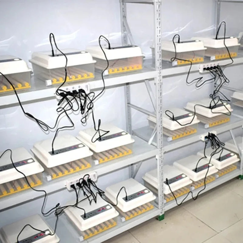 36 Small Egg Incubators for Hatching with Automatic Turning and Humidity Control