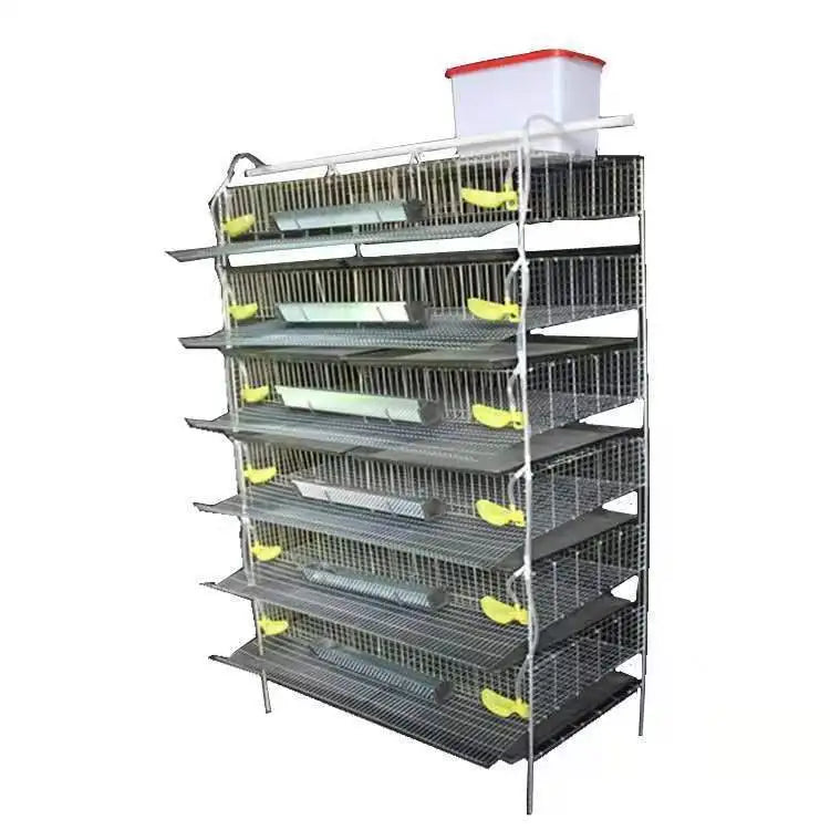 Automatic quail cage for egg collection, breeding equipment for pigeons, bird cage farms for farmers