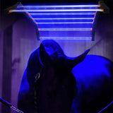 New Arrival 640W 800W Infrared Therapy Lamp Red Light Therapy LED Light for Equine Horse Animal Pain Relief Beauty Personal Care