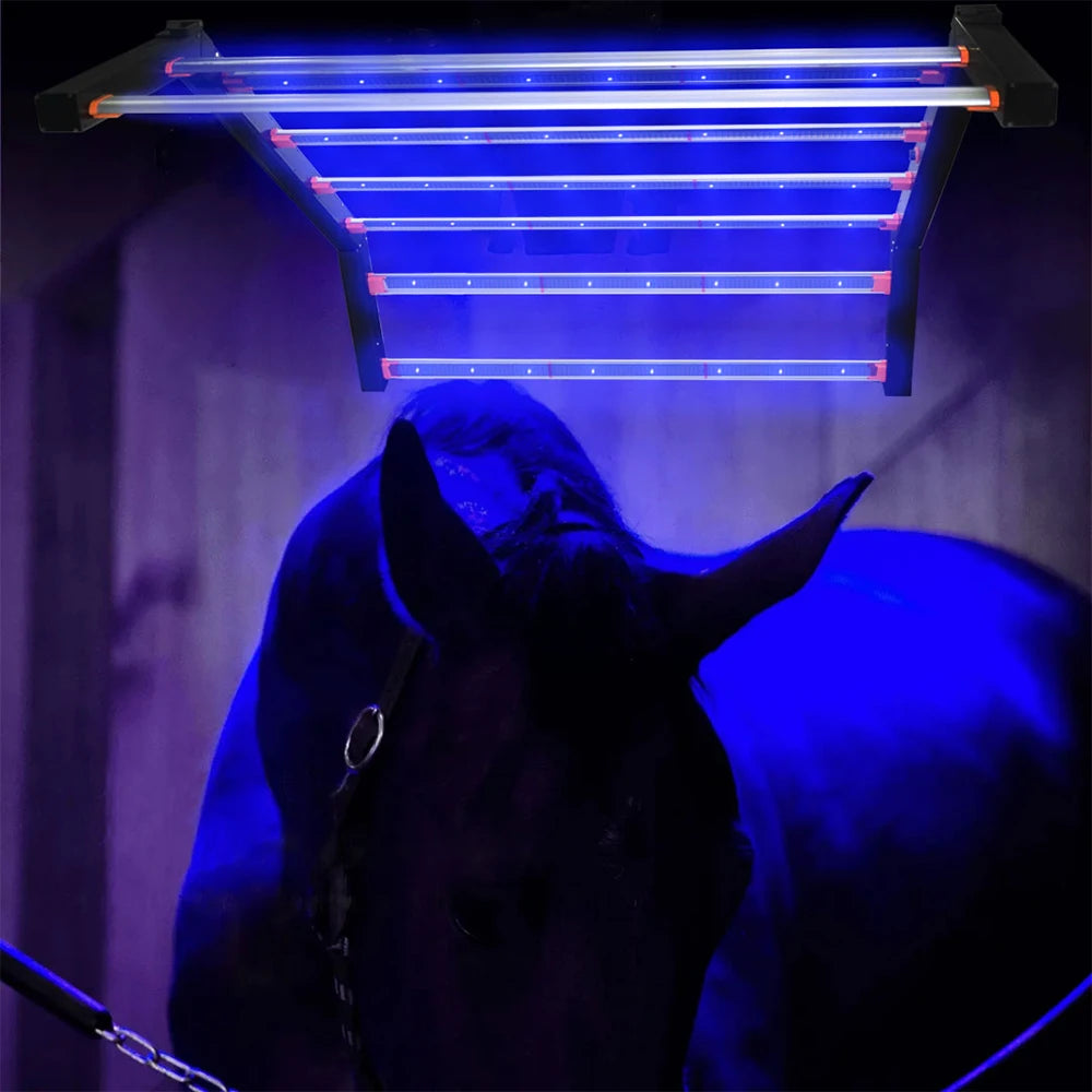 New Arrival 640W 800W Infrared Therapy Lamp Red Light Therapy LED Light for Equine Horse Animal Pain Relief Beauty Personal Care
