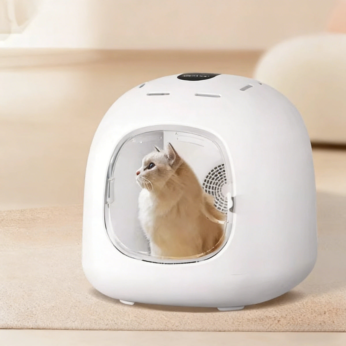 automatic pet drying box, special dryer for cat and dog pet store, silent small household bath