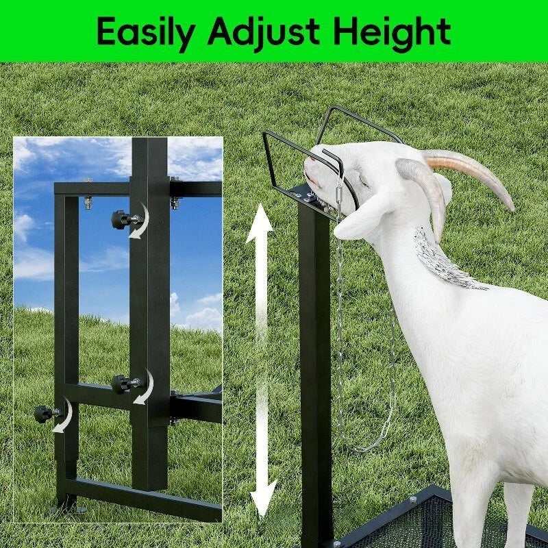 Sheep Milking Rack Adjustable Height Wool Trimming Fixation Metal Racks Sturdy and Durable Goat Trimming Farm Animal Supplies