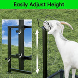 Sheep Milking Rack Adjustable Height Wool Trimming Fixation Metal Racks Sturdy and Durable Goat Trimming Farm Animal Supplies