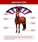 AQSHE 552 Pcs Leds Solarium Equine Horse Full Body 6 Wavelength Near Infrared Red Light Led Therapy  Solarium Pony Bar 1.8M