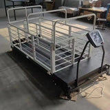 Professional Stainless Steel Dog Treadmill for Greyhound Agility Training Electric Pet Runner IPx6 Waterproof Adjustable Speed