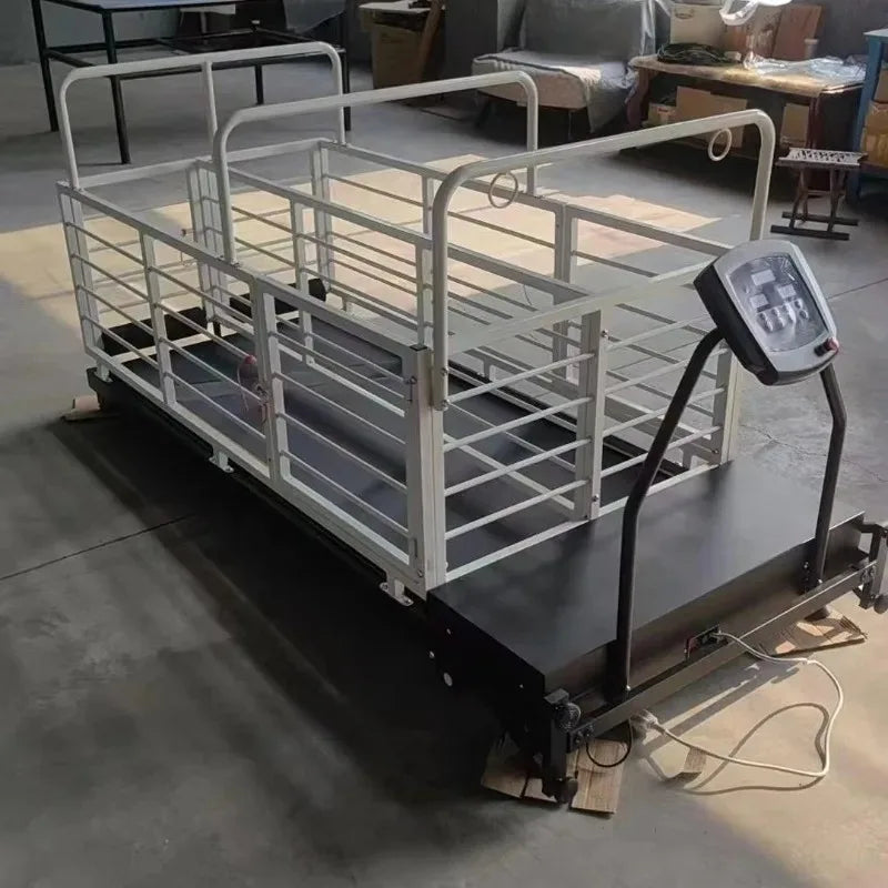 Professional Stainless Steel Dog Treadmill for Greyhound Agility Training Electric Pet Runner IPx6 Waterproof Adjustable Speed