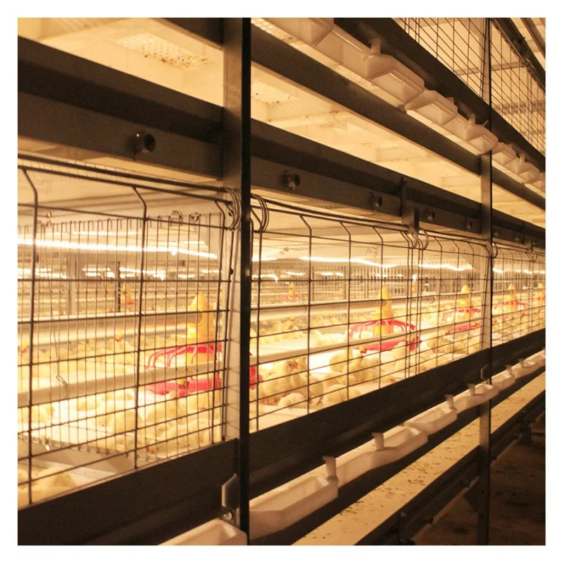 2020 Factory Price Poultry Shed Design Chicken Broiler Battery Cage Sale