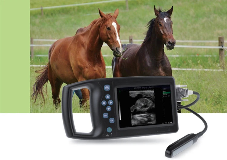 Portable A8 high-precision animal pig sow b-ultrasound detector animal cattle and sheep detector ultrasonic scanner