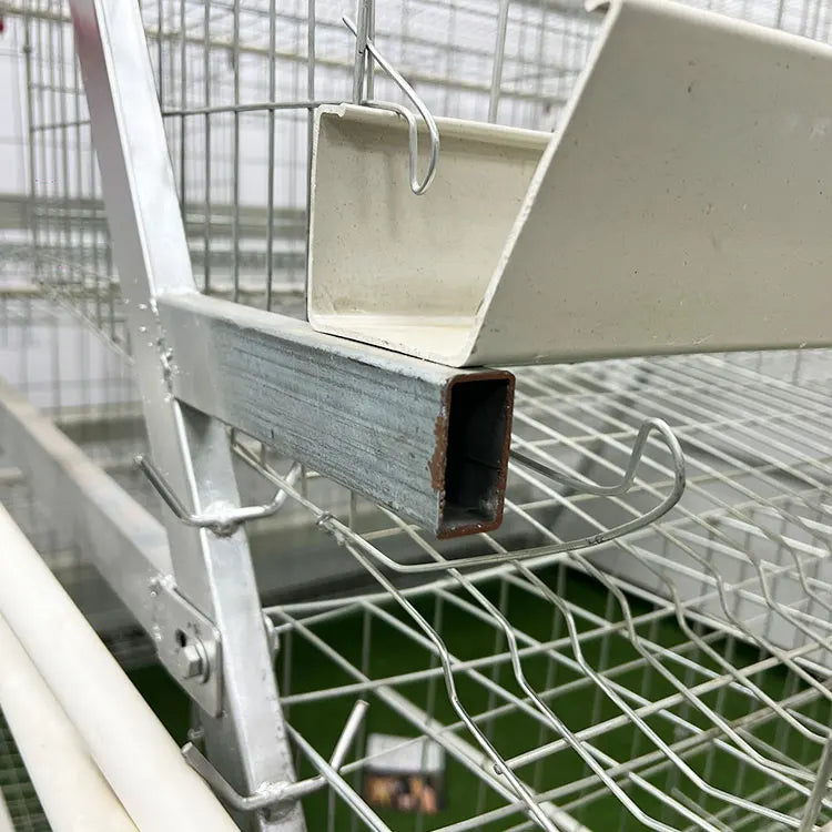 Poultry Farm Battery Chicken Coop  Egg Laying Hens 500 1000 Birds Animal Layer Chicken Cage for Farming Sale in Zimbabwe