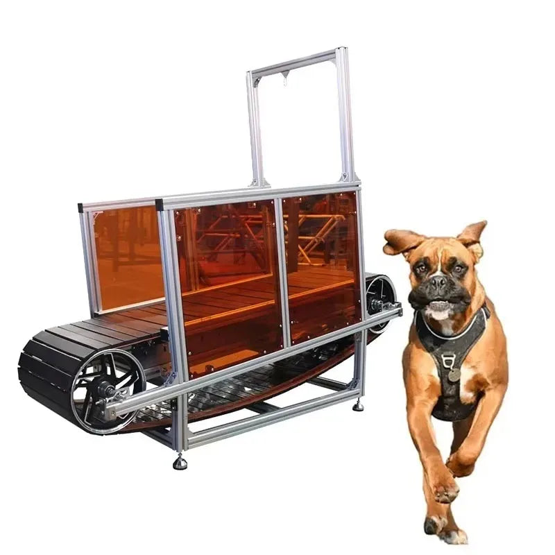 Dog Treadmill Machine in GYM Non-powered Pet Treadmill for Dog Training Slat Mill for Dogs Outdoor