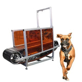 Dog Treadmill Machine in GYM Non-powered Pet Treadmill for Dog Training Slat Mill for Dogs Outdoor