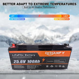 Qidianfy 25.6V 100/200Ah LiFePO4 Lithium Iron Phosphate Battery Built-in 100A BMS 2560Wh Capacity RV Solar Off-grid Storage Fishing