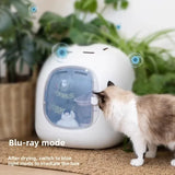 automatic pet drying box, special dryer for cat and dog pet store, silent small household bath