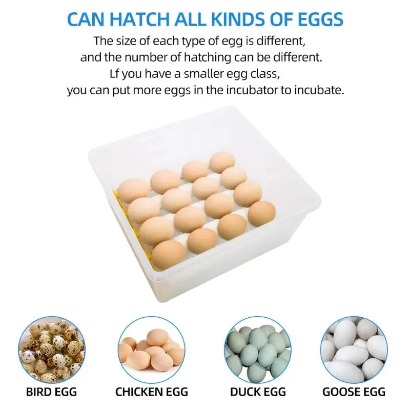 36 Small Egg Incubators for Hatching with Automatic Turning and Humidity Control