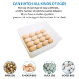 36 Small Egg Incubators for Hatching with Automatic Turning and Humidity Control