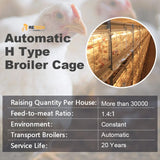 Good Price H Type Poultry Equipment Broiler Battery Chicken Cage Sale