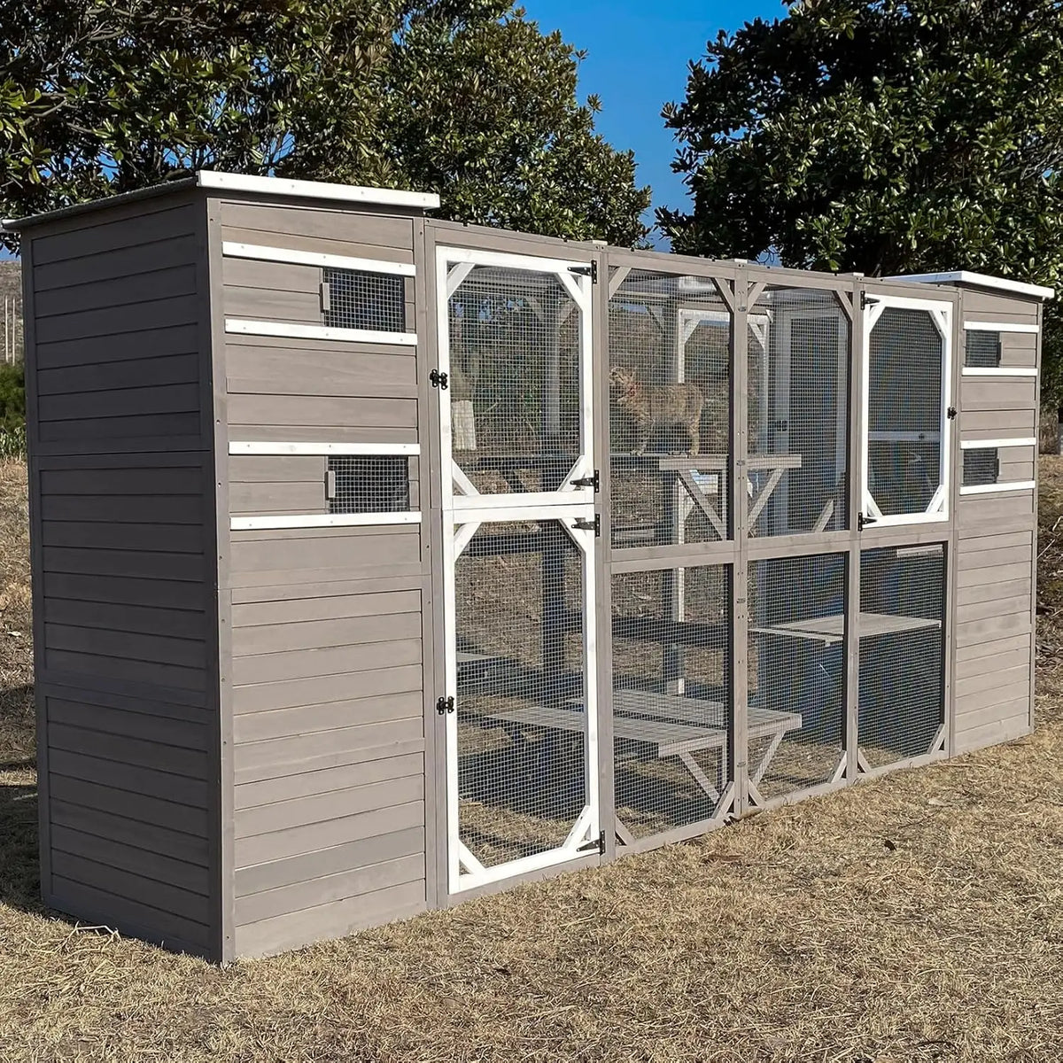 Outdoor catio enclosure, weatherproof, attaches to window, for multiple cats, easy assembly