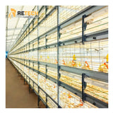 RETECH Automatic Broiler Battery Poultry Chicken Cage Farming Equipment Sale
