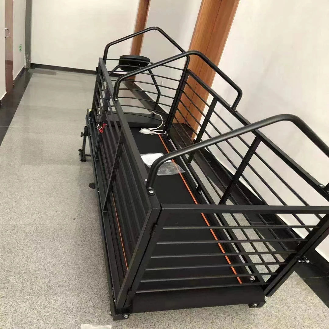 Professional Stainless Steel Dog Treadmill for Greyhound Agility Training Electric Pet Runner IPx6 Waterproof Adjustable Speed