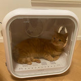 Smart Pet Drying Box Automatic Cat Hair Dryer Water Blower Puppy Bath Hair Blowing Machine Large Capacity Small Dogs Drying Room