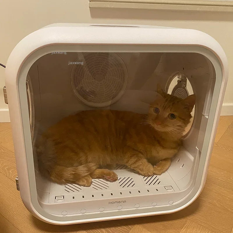 Smart Pet Drying Box Automatic Cat Hair Dryer Water Blower Puppy Bath Hair Blowing Machine Large Capacity Small Dogs Drying Room