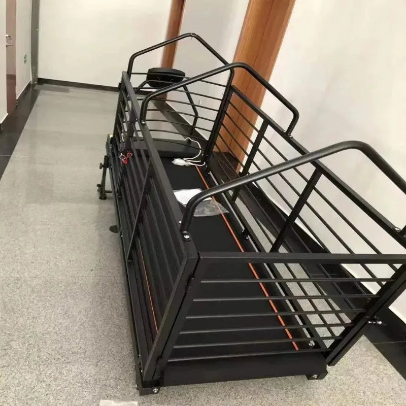 Professional Stainless Steel Dog Treadmill for Greyhound Agility Training Electric Pet Runner IPx6 Waterproof Adjustable Speed