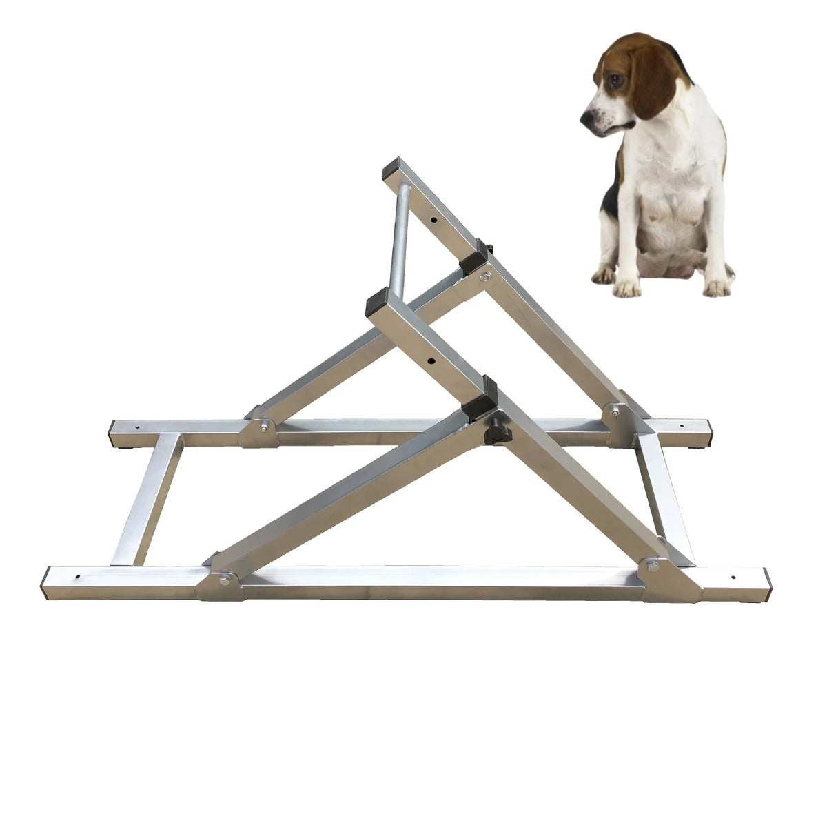 FCI Dog Seesaw Teeter Agility Set Obstacle Equipments Training Competition Dog Training Equipment