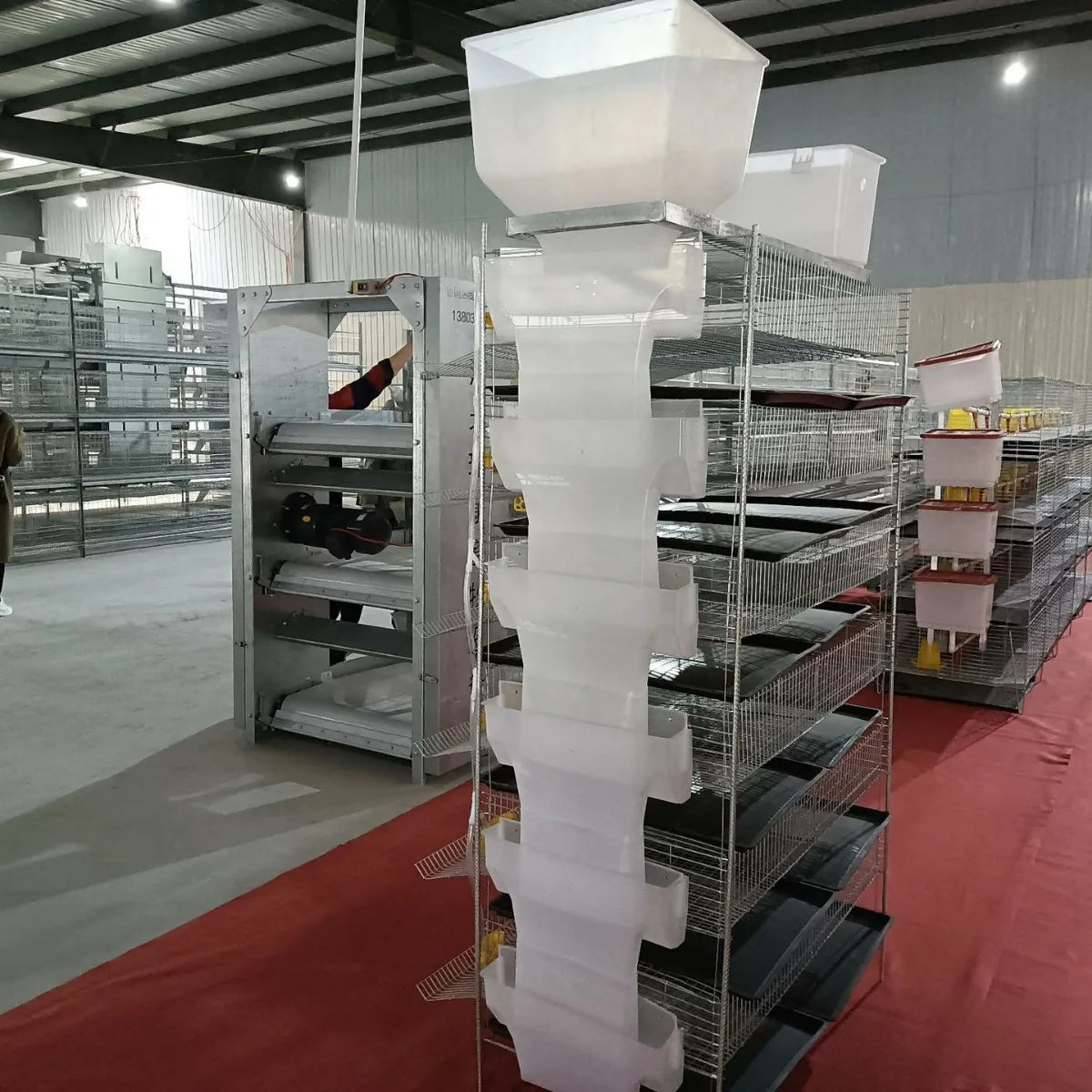 Automatic quail cage for egg collection, breeding equipment for pigeons, bird cage farms for farmers