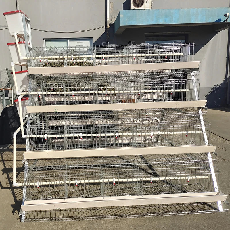 96/128 bird 3/4 layer battery layer chicken cage for laying hens 1000 chicken poultry farming capacity