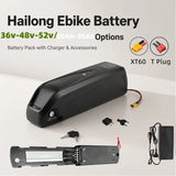 Hailong Downtube Lithium Battery 36/48/52V, 12-30Ah Capacity for Bafang BBS02 BBS03 BBSHD E-Bike Motors