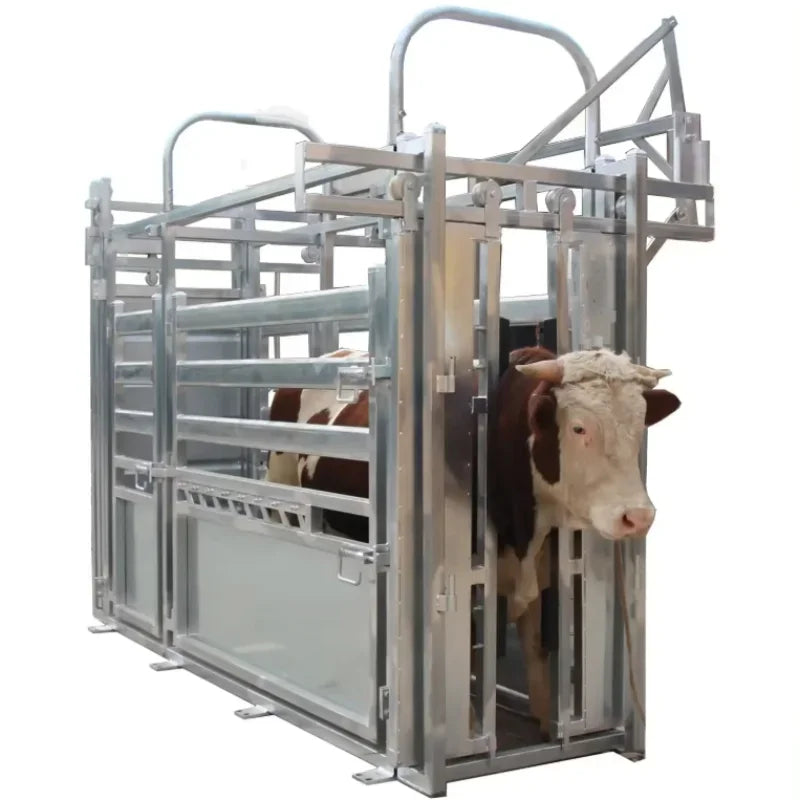 Hot-dipped Galvanized Cattle Corral Panel Cattle Squeeze Chute Cattle Crush