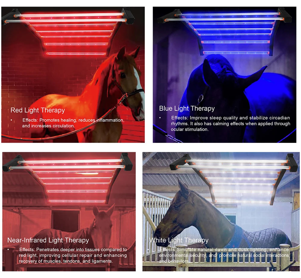 New Arrival 640W 800W Infrared Therapy Lamp Red Light Therapy LED Light for Equine Horse Animal Pain Relief Beauty Personal Care
