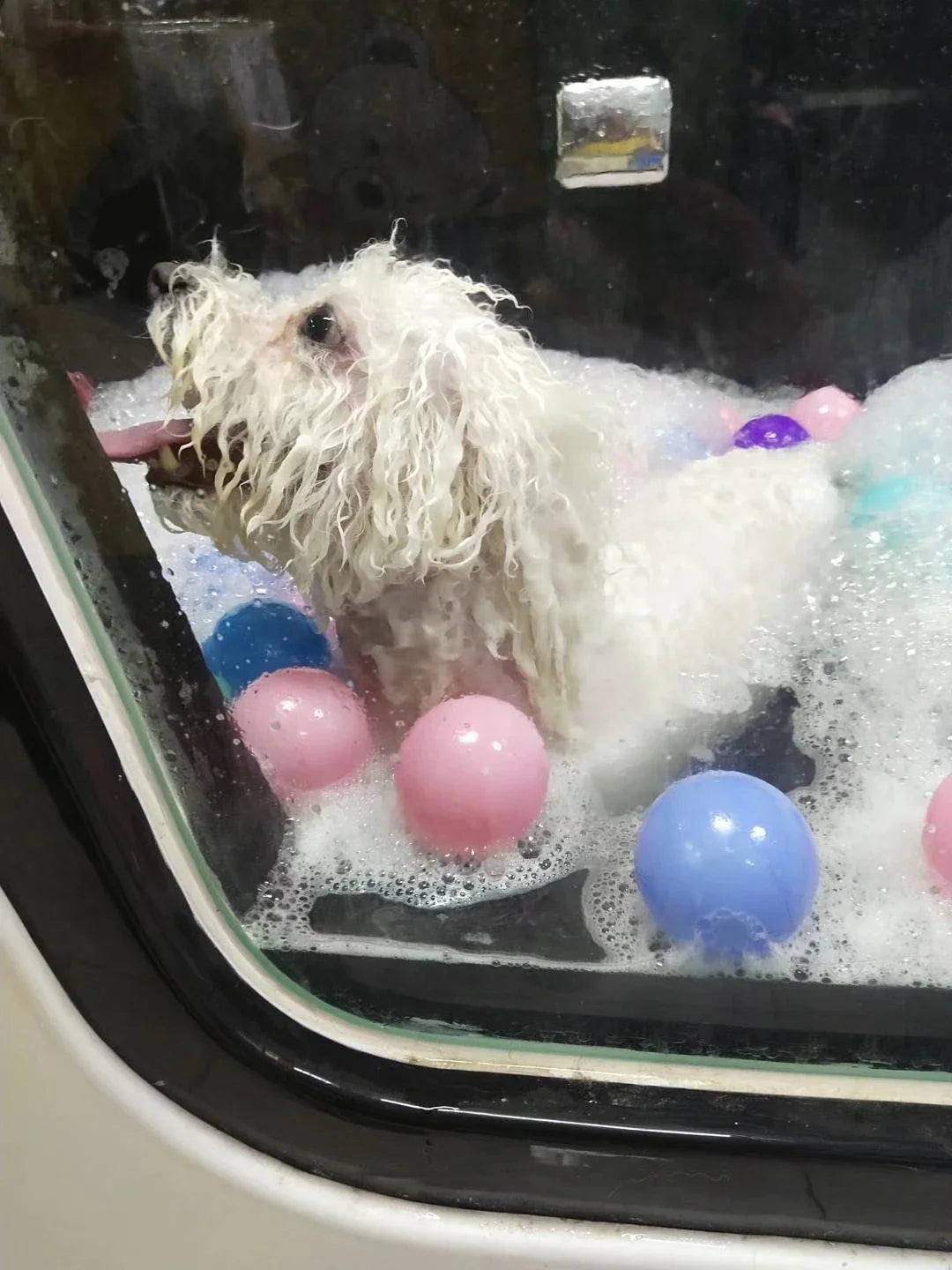 Acrylic Dog Grooming Animal Cleaning Bathtub SPA Ozone Pet Bath Tub