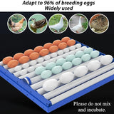 Dual Power 220V/12V  340 Eggs Fully Automatic Incubator Control Temperature Humidity Hatching Machine Eggs Chicken Duck Goose