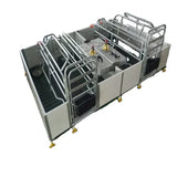 Postmodern High Quality Farrowing Crate Maternity Stall Sow Cage Hot Galvanized Pig Farm Equipment