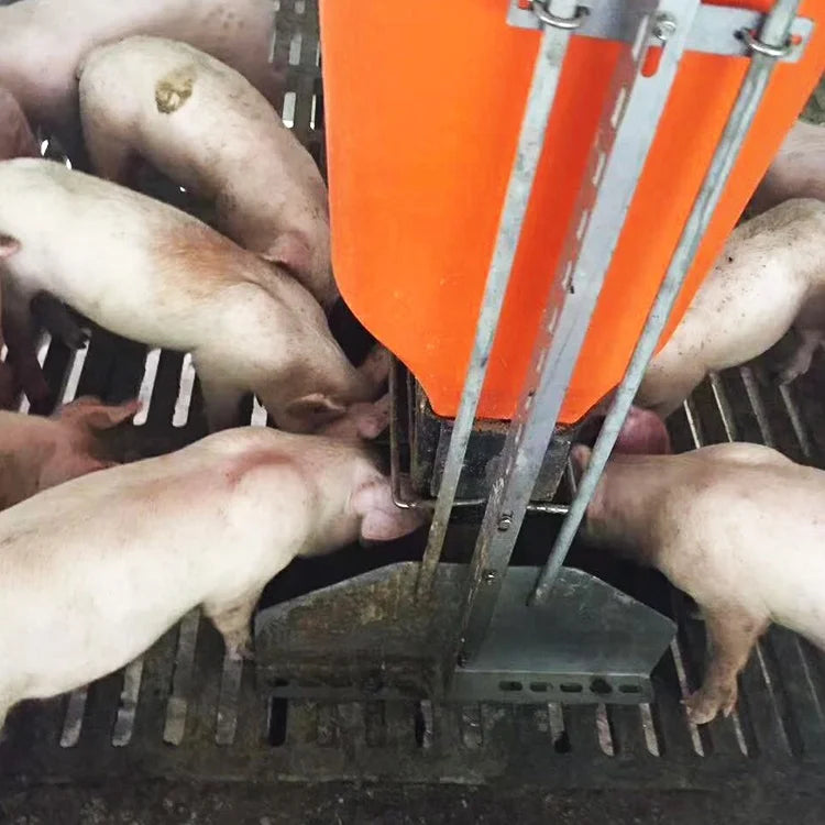 Low Price 100kg Plastic Dry and Wet Feeder Pig Feed Trough Pig Breeding Equipment for Pigs Farm House