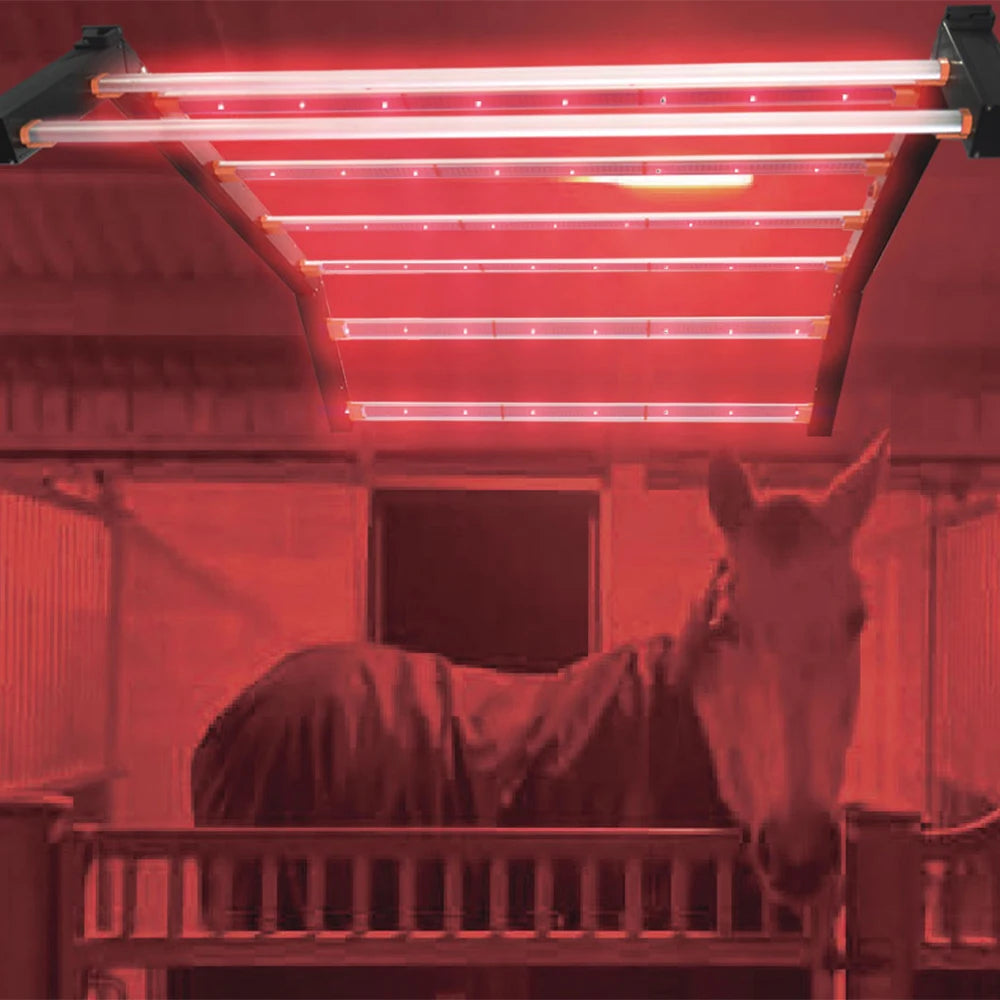 New Arrival 640W 800W Infrared Therapy Lamp Red Light Therapy LED Light for Equine Horse Animal Pain Relief Beauty Personal Care